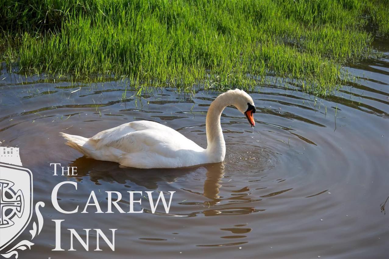 Carew Inn Dış mekan fotoğraf